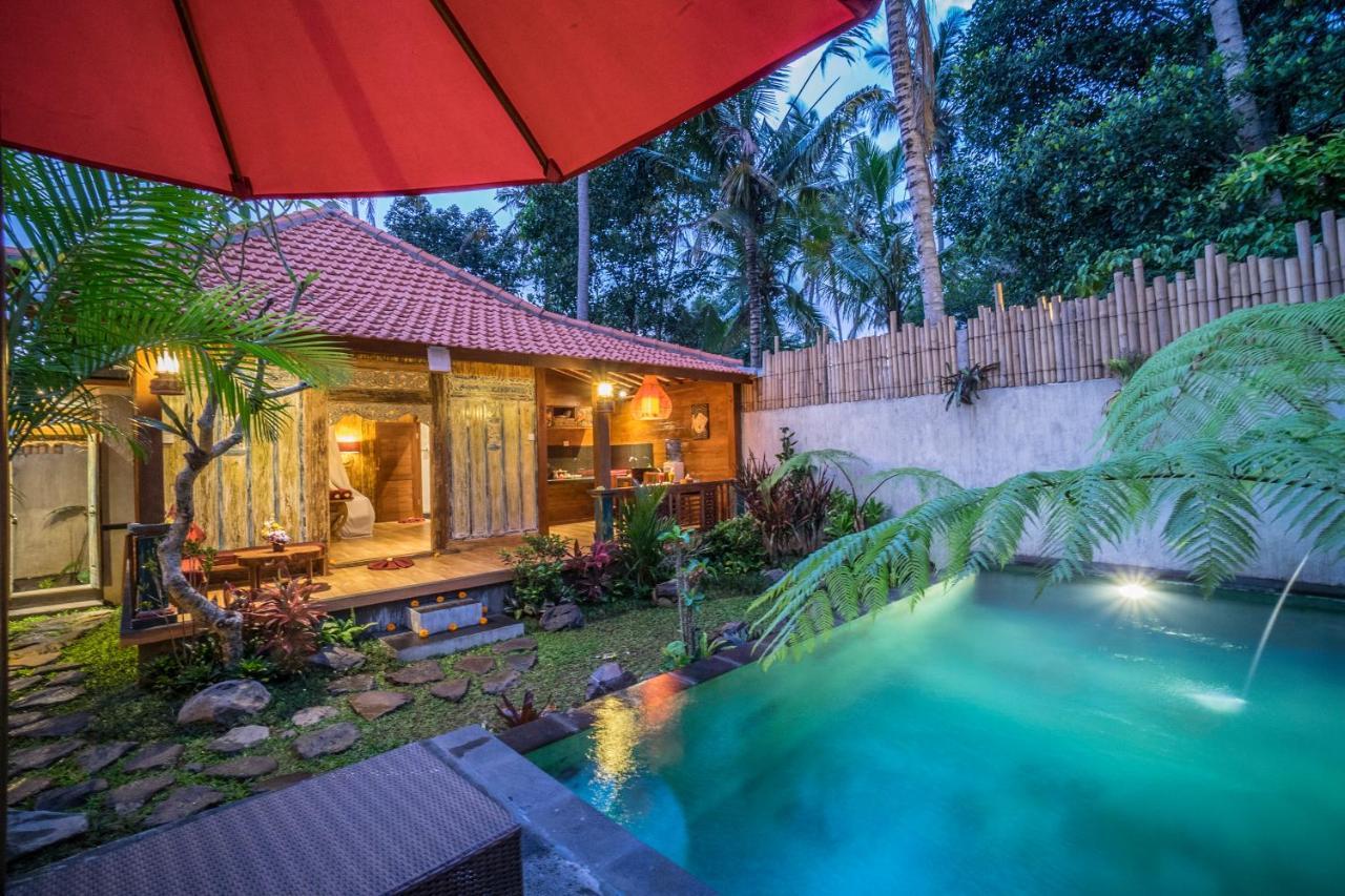The Forest Villa Ubud Exteriör bild